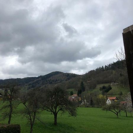 Petit Week End Dans La Vallee Breitenbach-Haut-Rhin Exterior photo