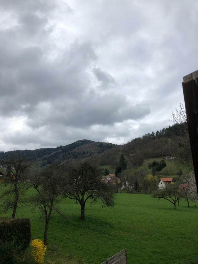 Petit Week End Dans La Vallee Breitenbach-Haut-Rhin Exterior photo