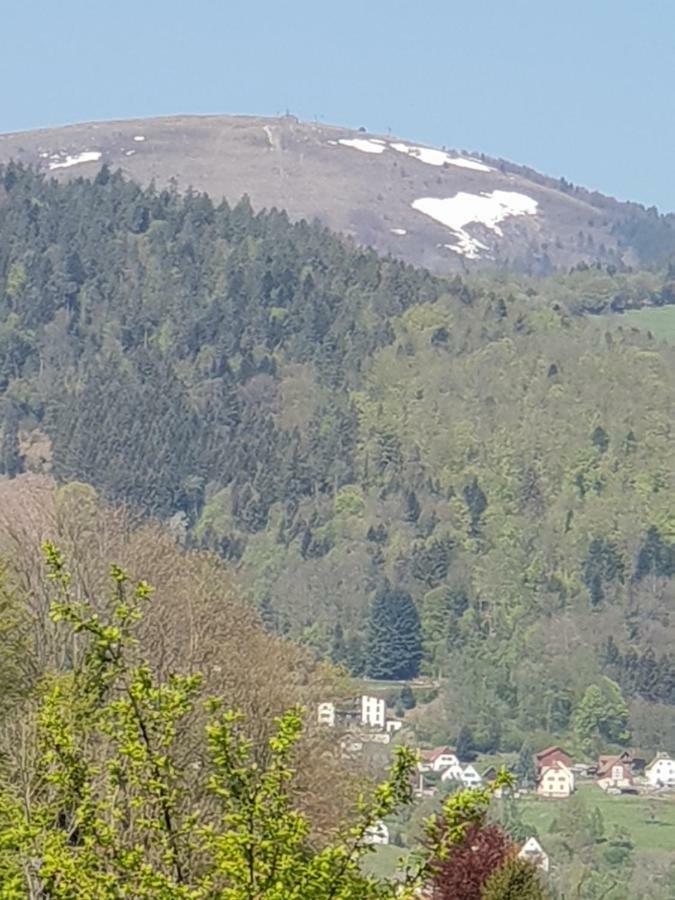 Petit Week End Dans La Vallee Breitenbach-Haut-Rhin Exterior photo