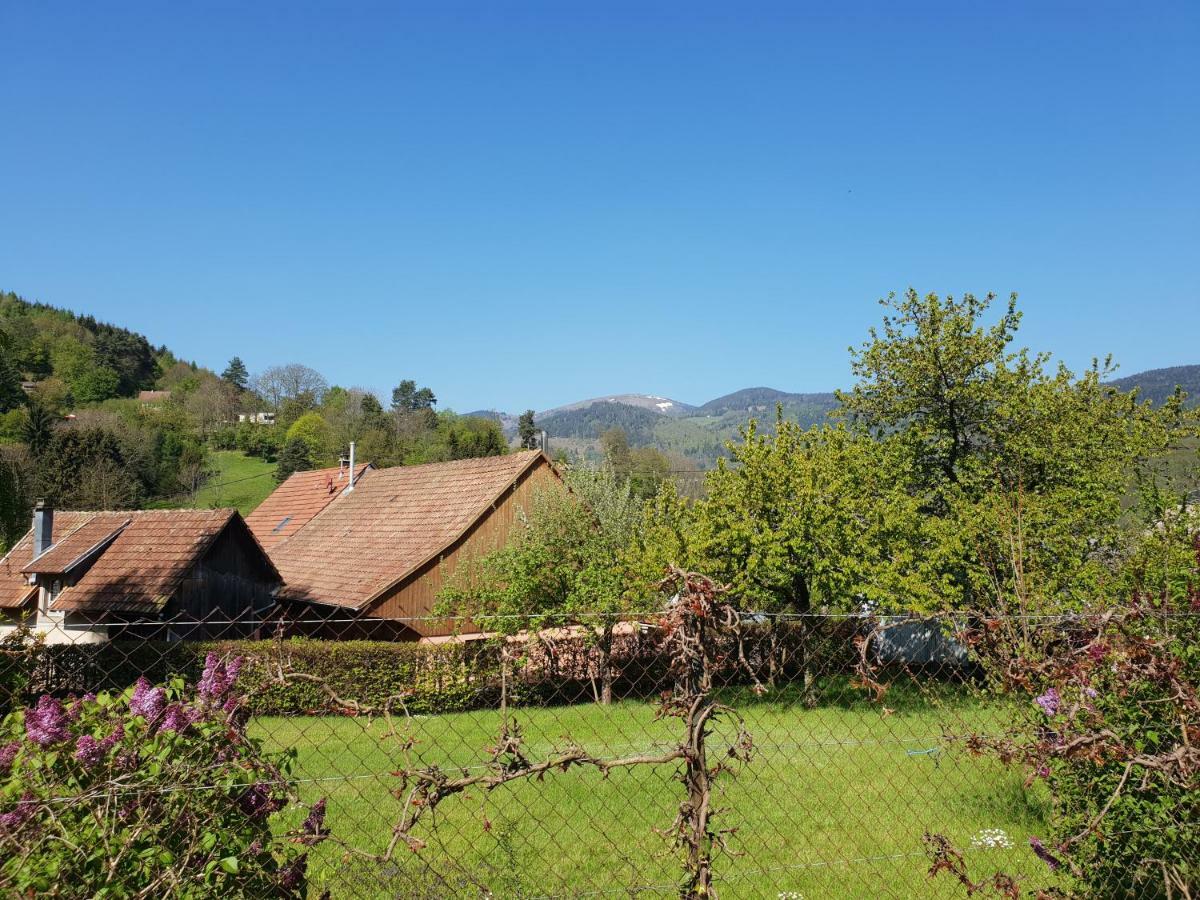 Petit Week End Dans La Vallee Breitenbach-Haut-Rhin Exterior photo