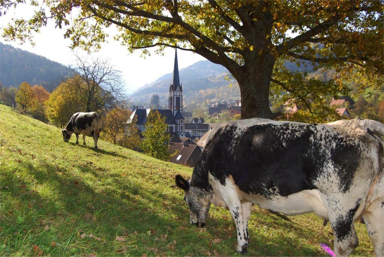 Petit Week End Dans La Vallee Breitenbach-Haut-Rhin Exterior photo